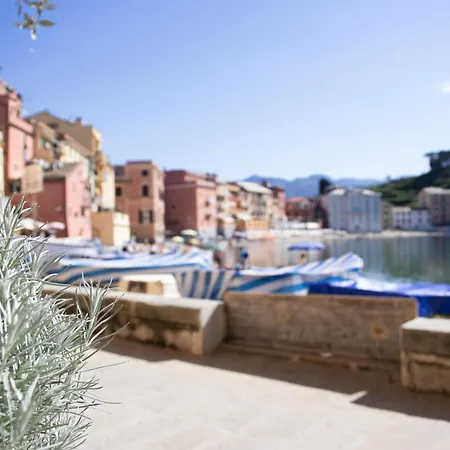 245 - Casa Johanna, Centro Storico, 140metri Dalla Baia Del Silenzio Patrimonio Unesco Spiaggia E Mare Apartamento *